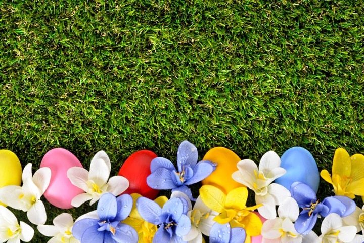 garden colour schemes choosing