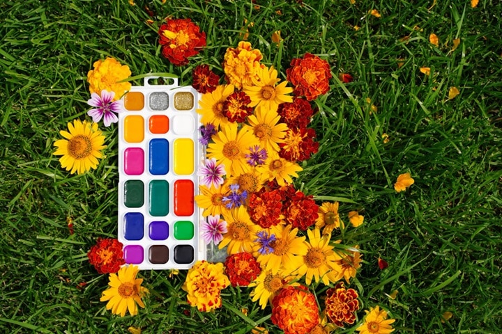 garden colour schemes paints and finishes