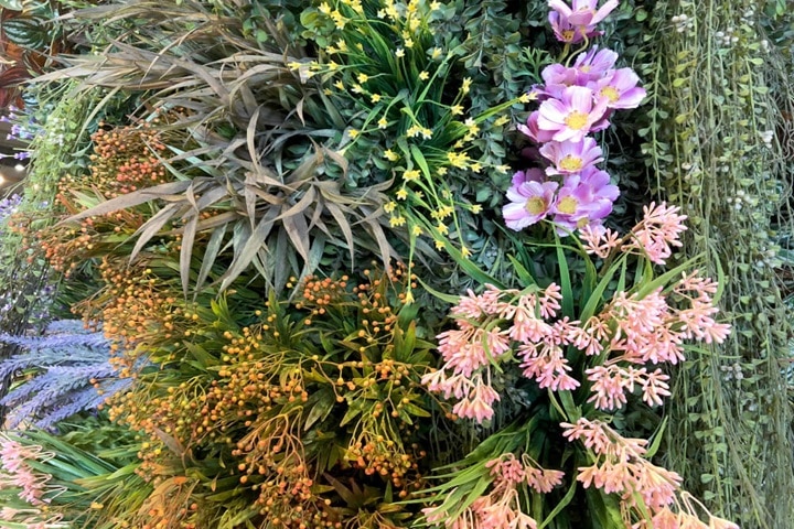 plant combinations key considerations