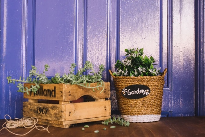 upcycled garden ideas food packaging