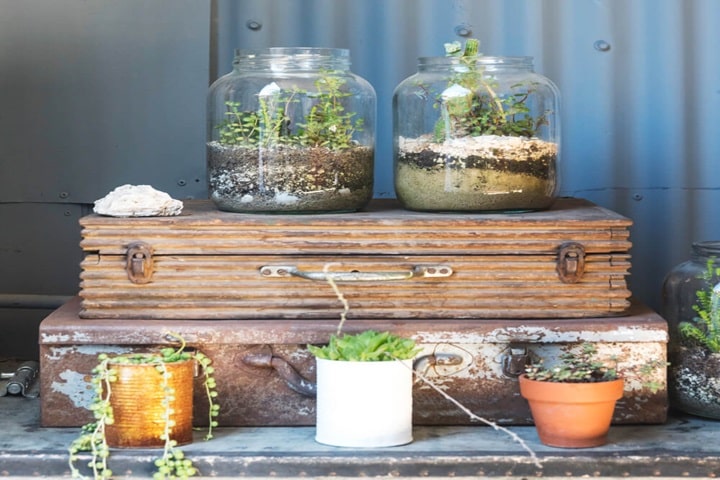 upcycled garden ideas glass jars and bottles