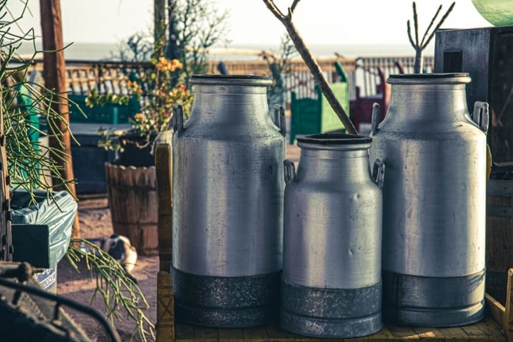 tin cans for upcycled garden ideas