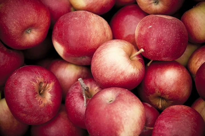 best fruits to grow apples