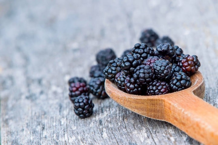 best fruits to grow blackberries