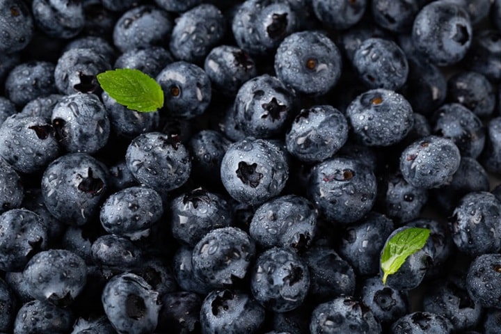 best fruits to grow blueberries