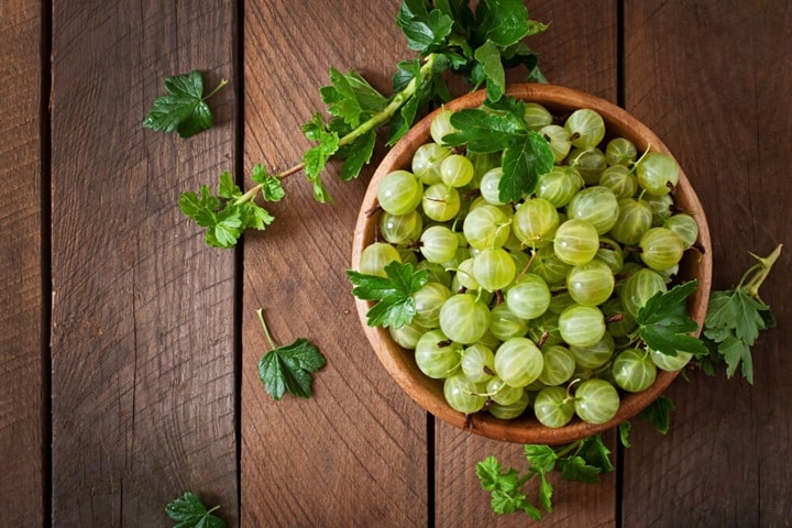 best fruits to grow gooseberries