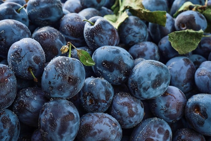 best fruits to grow plums