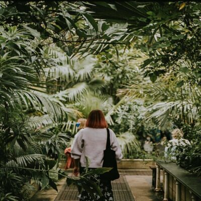 botanical garden ideas