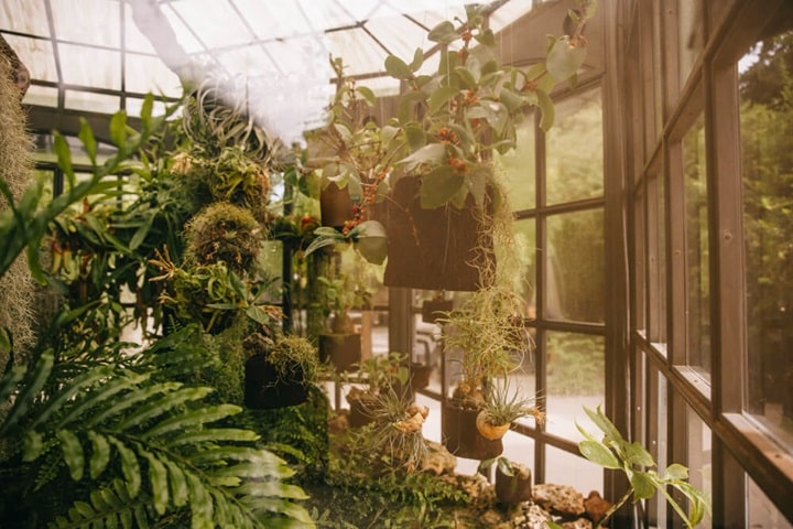 wildlife sanctuary with wildlife garden ideas