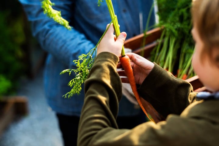 grow food to rewild your garden