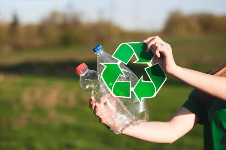 reduce reuse recycle to rewild your garden