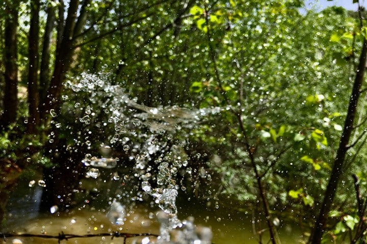 go wild for water to rewild your garden