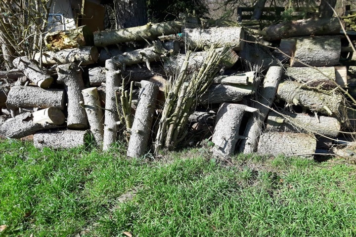 build woodpiles to rewild your garden