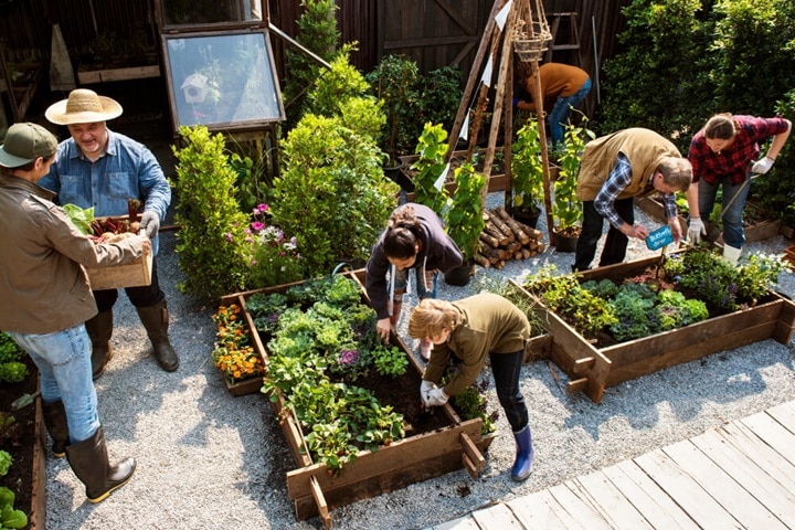 plan together shared gardens