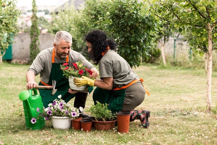 where to start with shared gardens