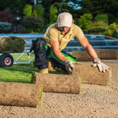 sustainable landscaping