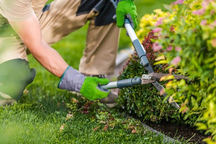 sustainable landscaping interpret