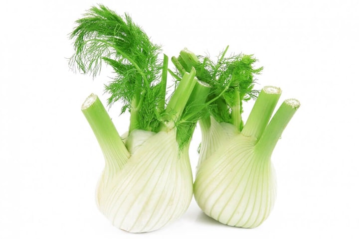 what to sow in june fennel