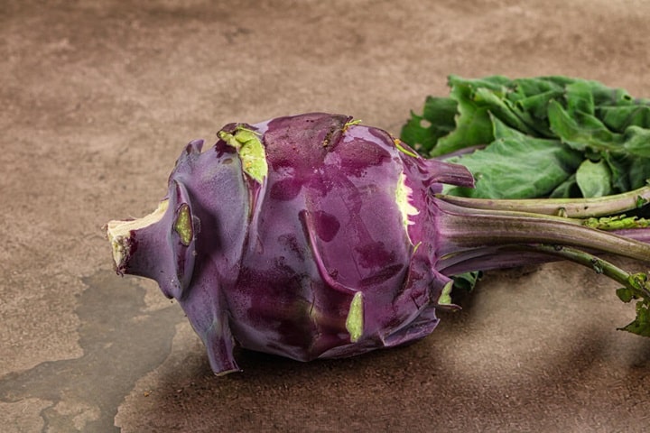 what to sow in june kohlrabi