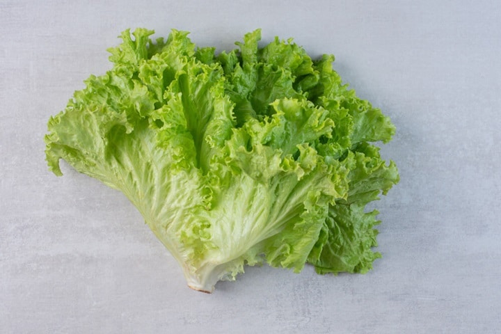 lettuce on what to sow in june