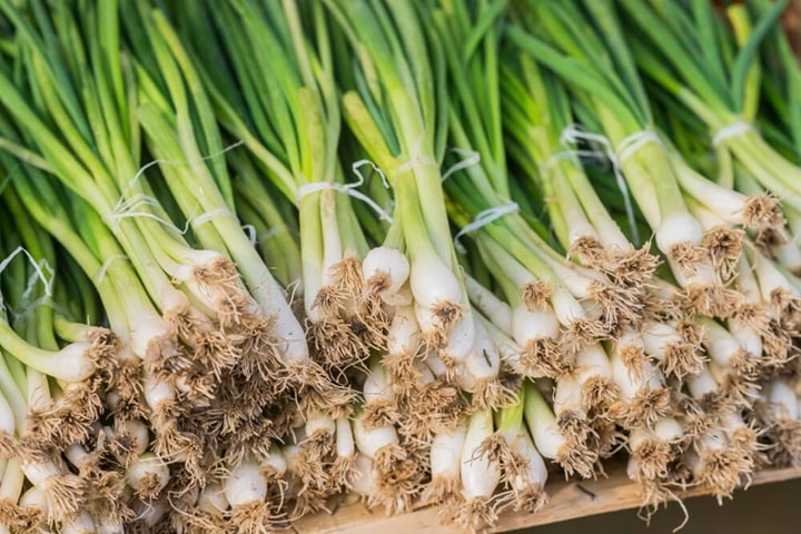 what to sow in june spring onions