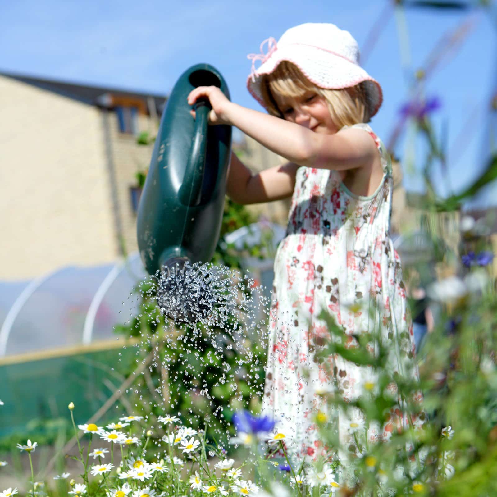 6ft (1.83m) Wide Polytunnel - Image 7