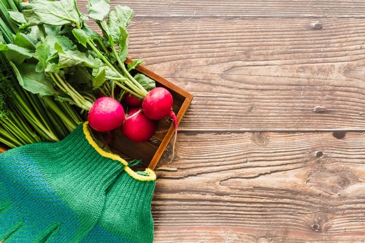 radish summer vegetables