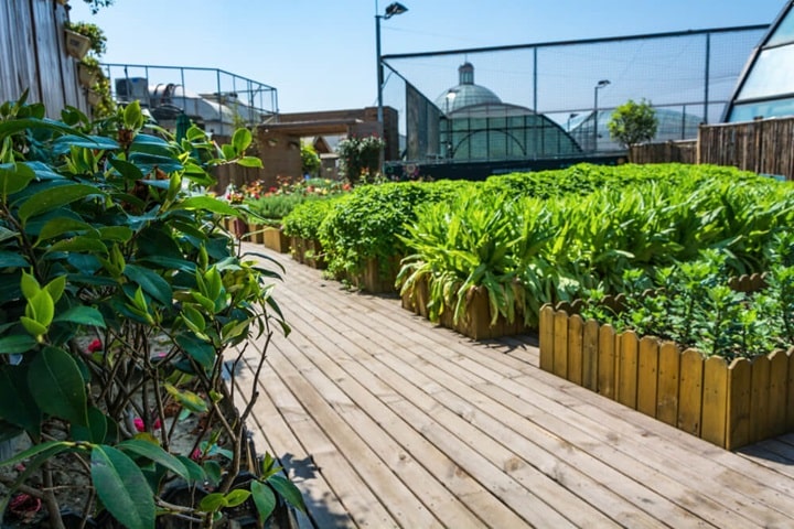 how to fill raised beds polytunnel