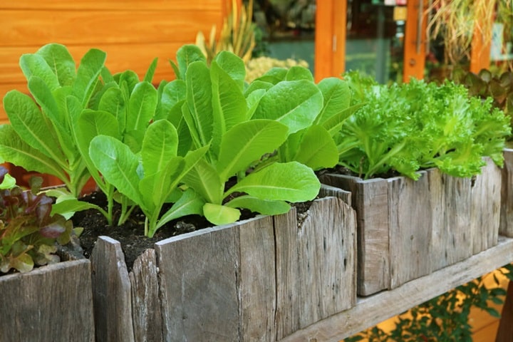 how to fill raised beds projects