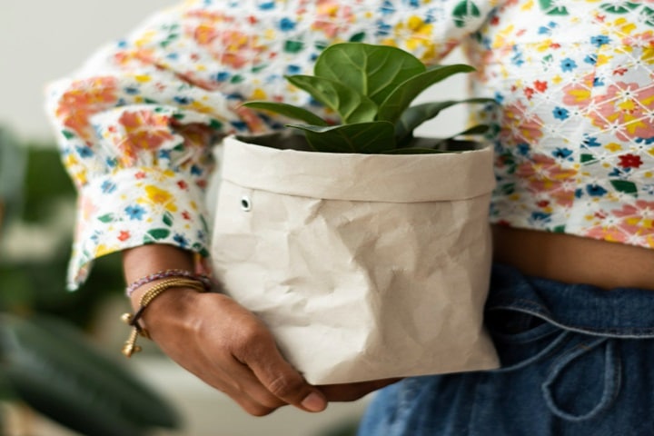 plant pot sizes biodegradable