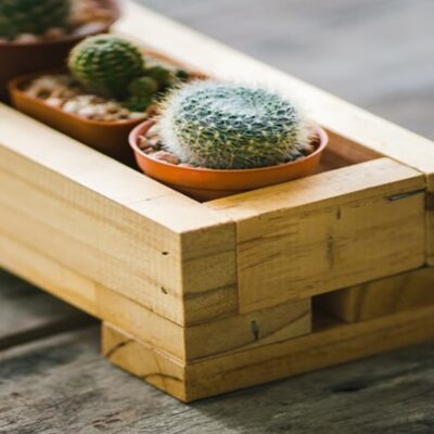 plant pot sizes