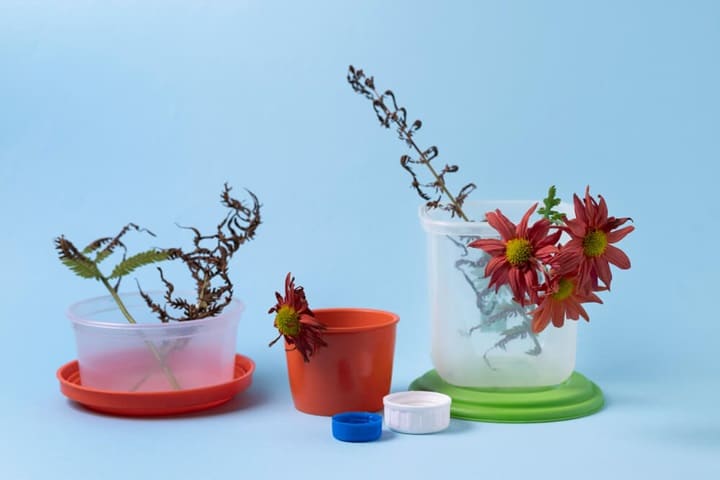 plastic plant pot sizes
