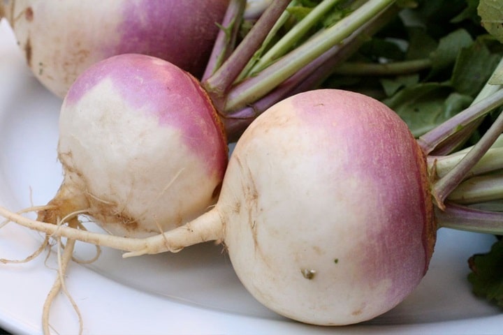 turnips summer vegetables
