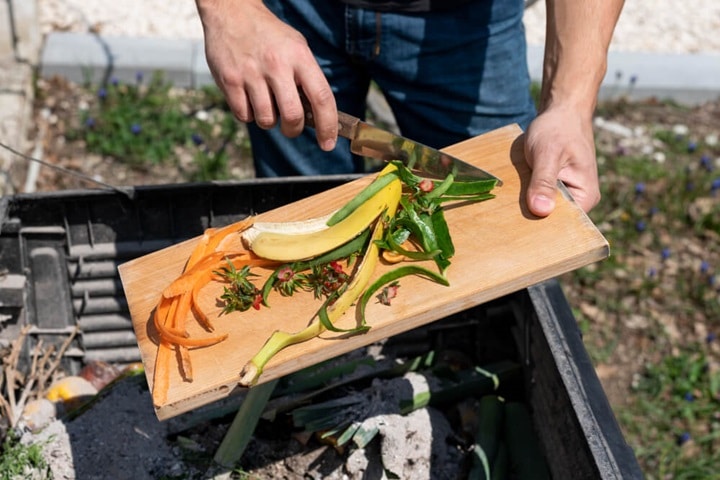 vegetable gardening mistakes not being realistic