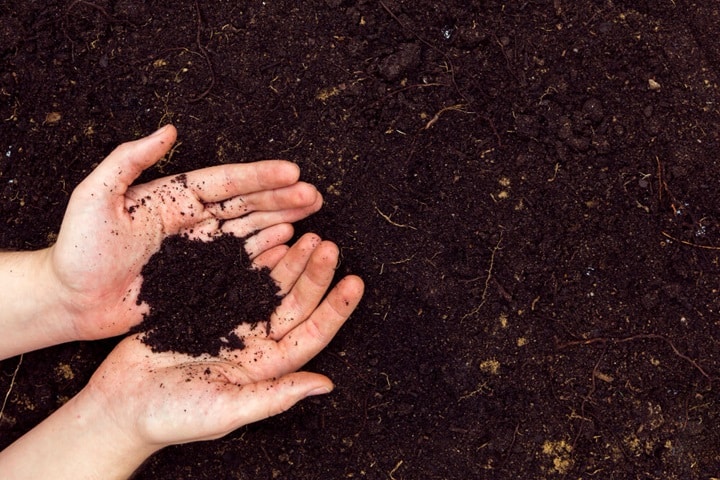 vegetable gardening mistakes soil