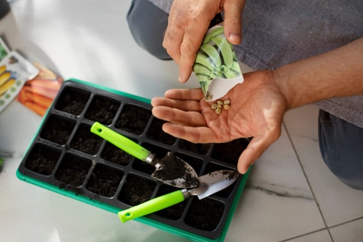 vegetable gardening mistakes sowing seeds too late