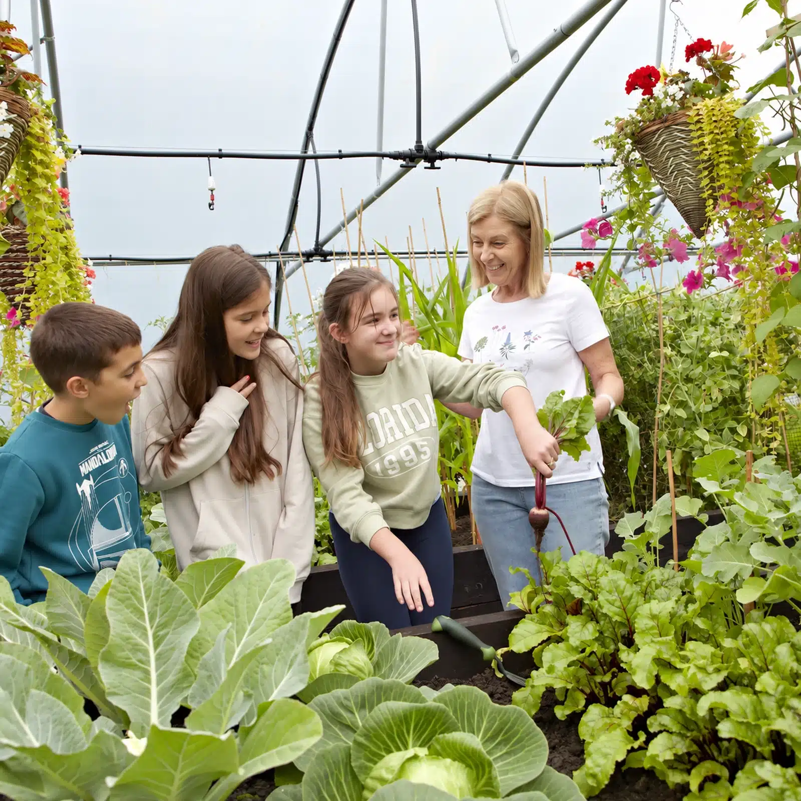22ft (6.71m) Wide Polytunnel - Image 3