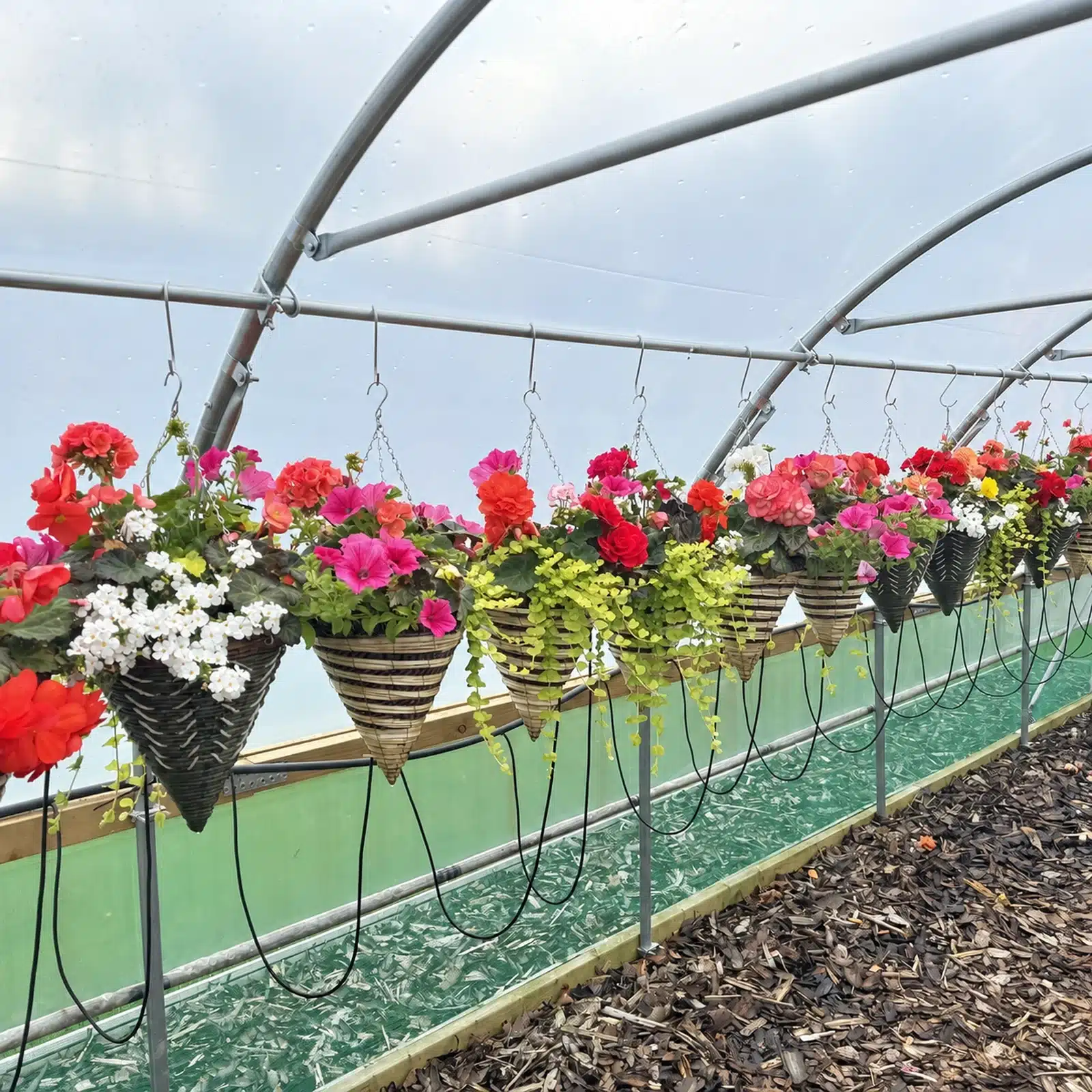14ft (4.27m) Wide Polytunnel - Image 6