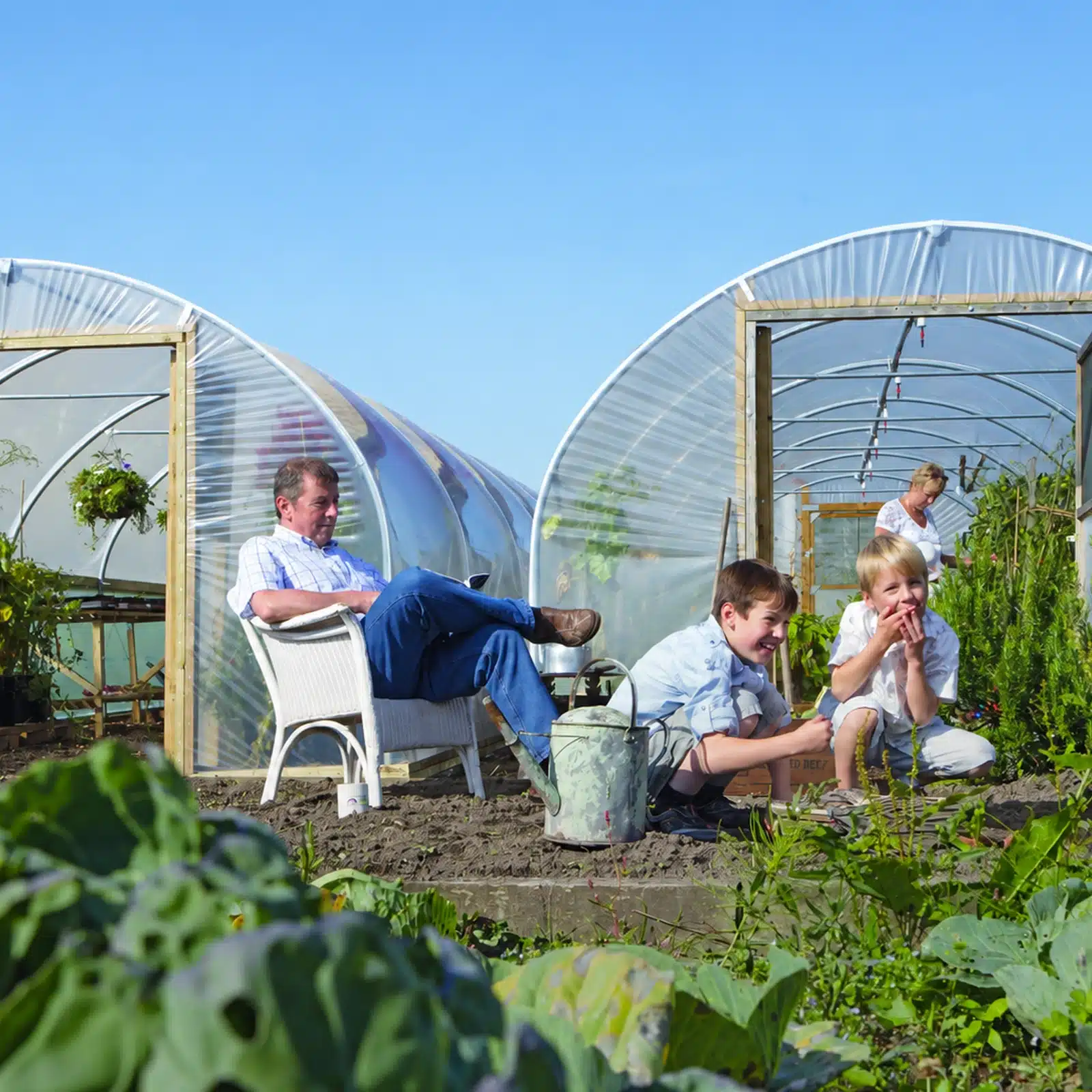 14ft (4.27m) Wide Polytunnel - Image 7