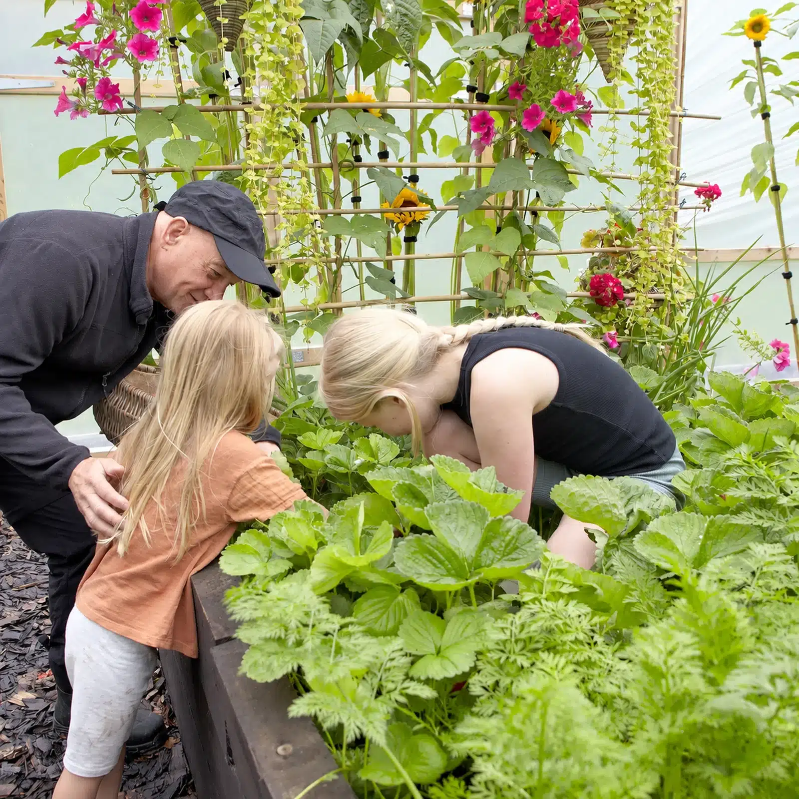 20ft (6.1m) Wide Polytunnel - Image 5