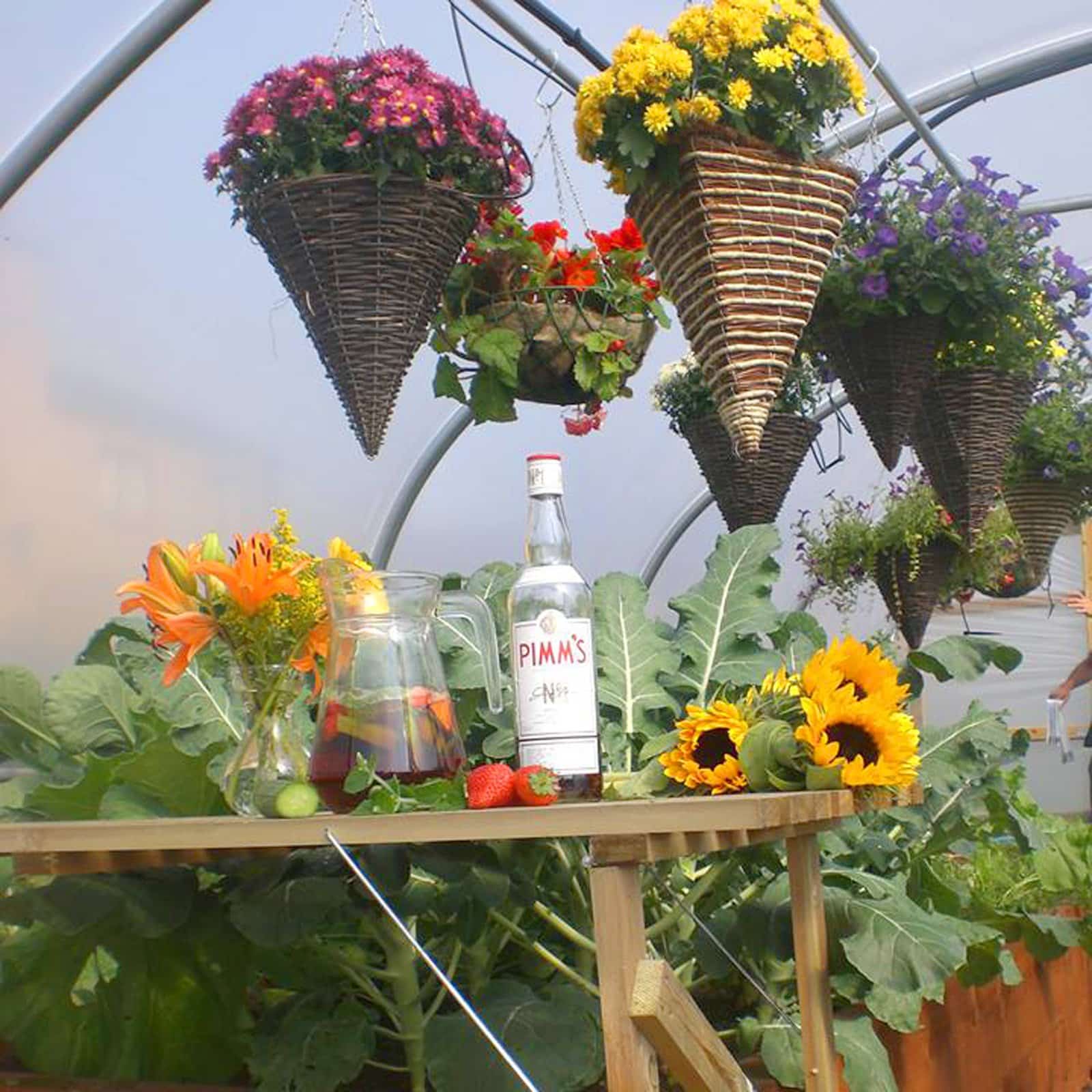 10ft (3.05m) Wide Polytunnel - Image 7
