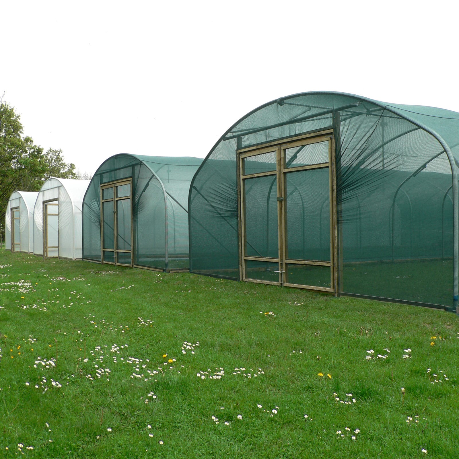 22ft (6.71m) Wide Polytunnel - Image 6