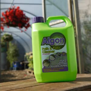 Algon