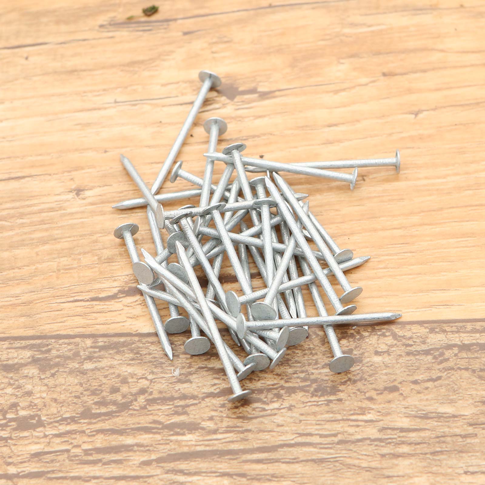 Galvanised Clout Nail - Image 2