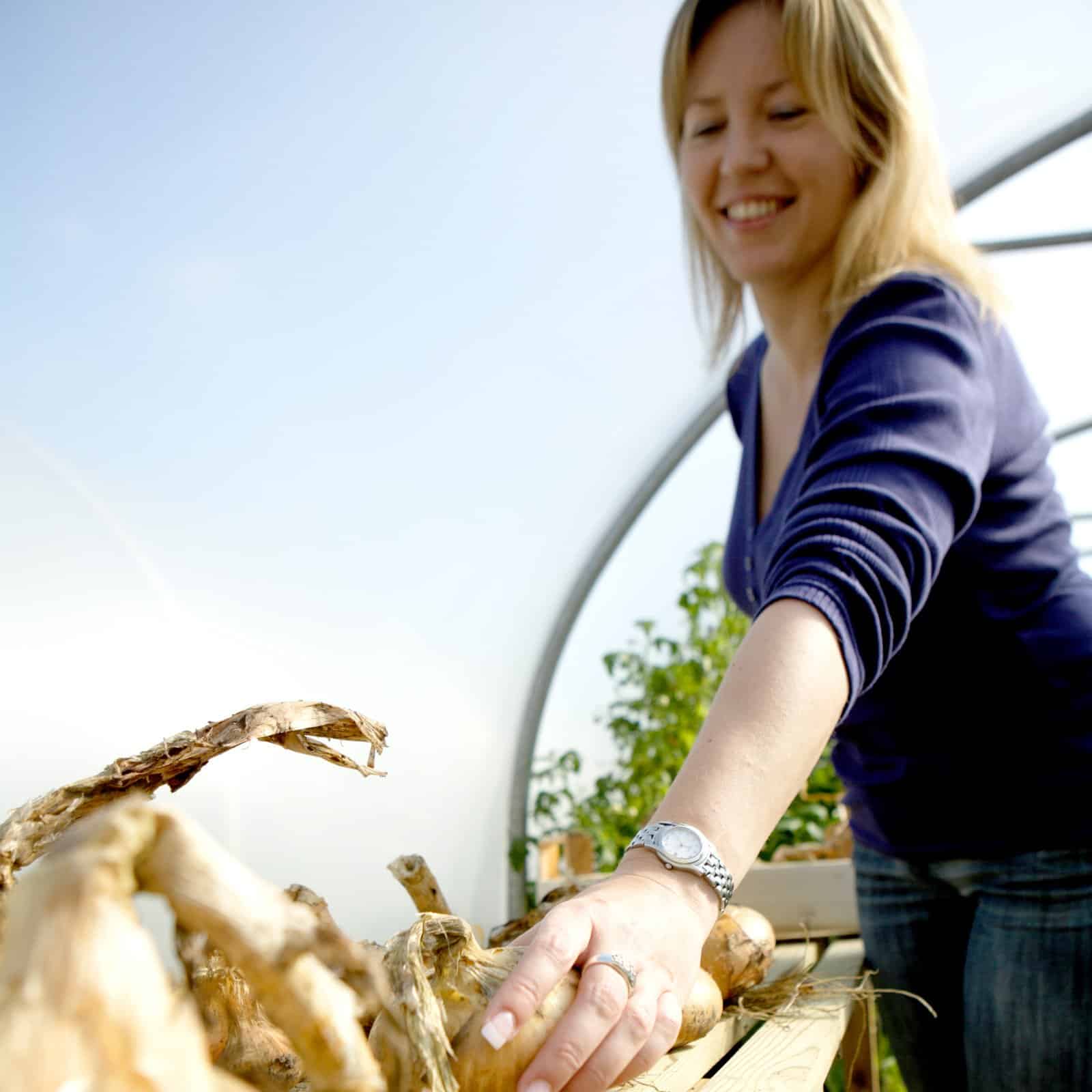 20ft (6.1m) Wide Polytunnel - Image 4