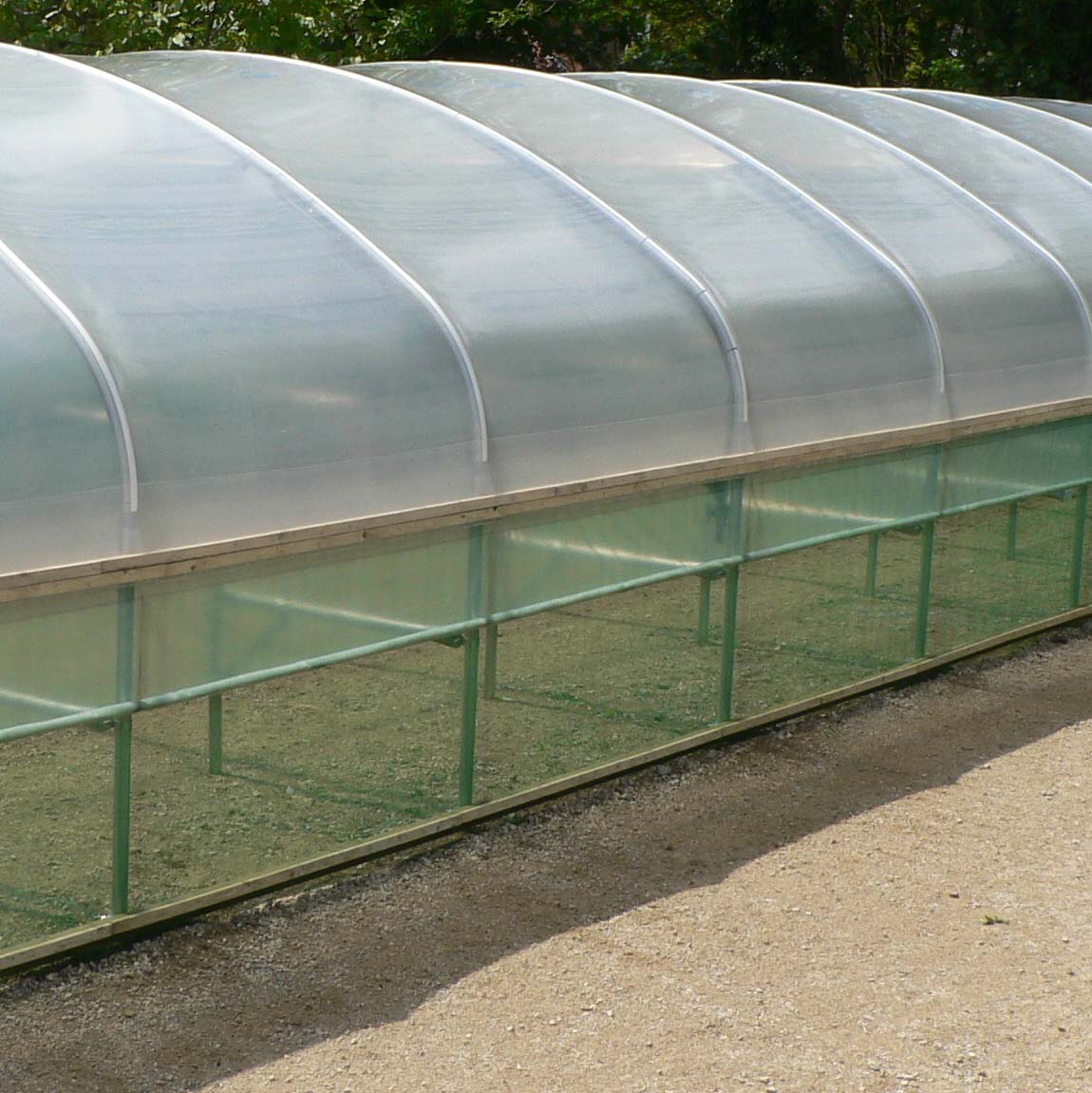 Heavy Duty Cloche Film 1.5m (5ft)