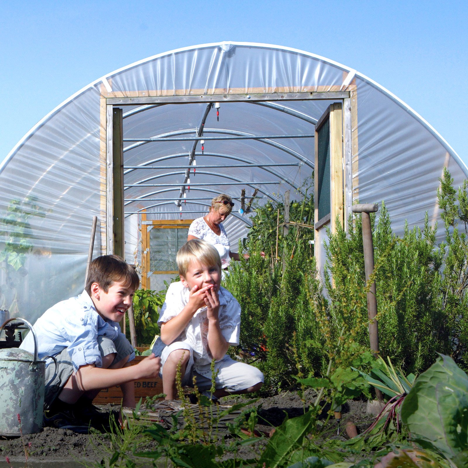10ft (3.05m) Wide Polytunnel - Image 10