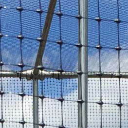 Netting