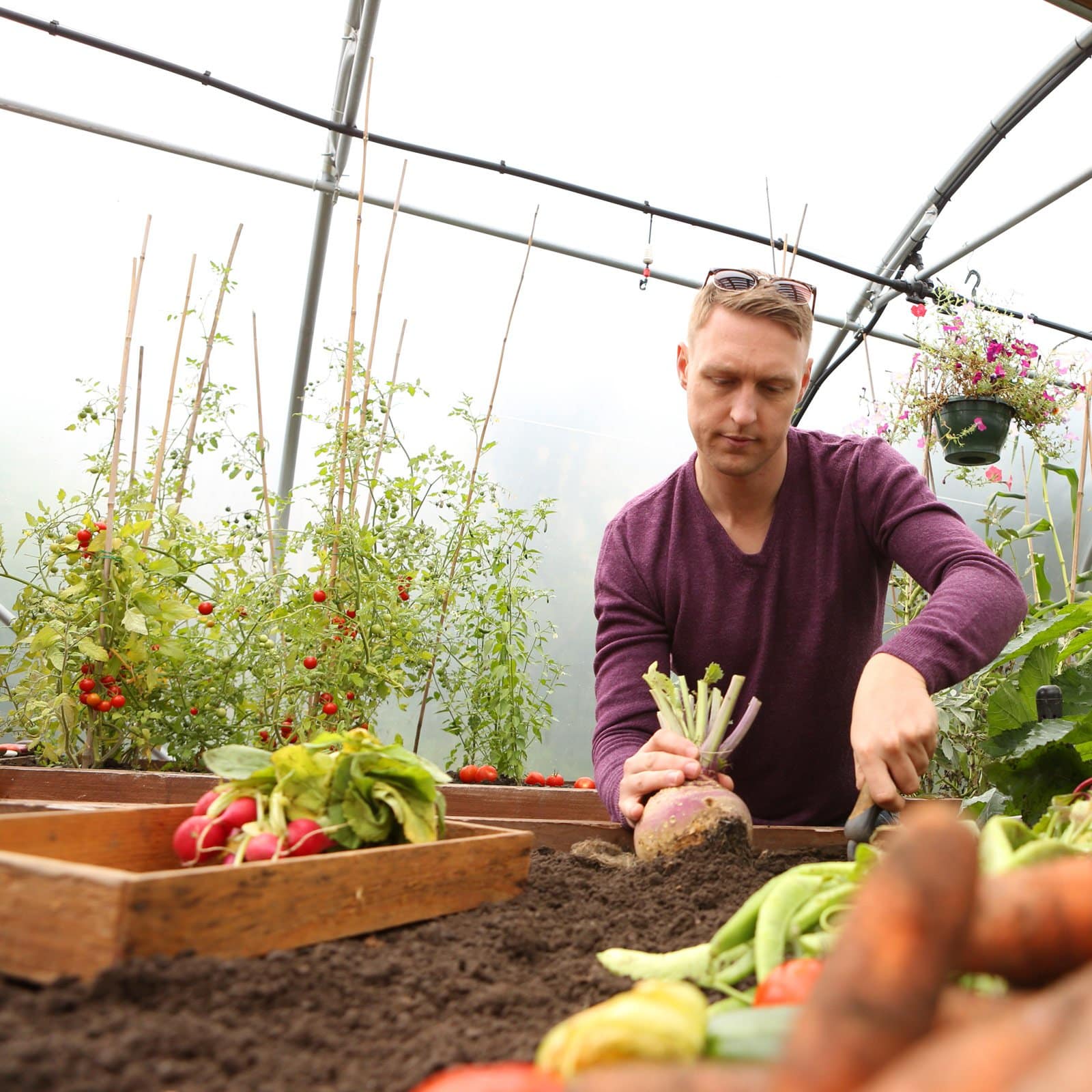 24ft (7.32m) Wide Polytunnel - Image 6