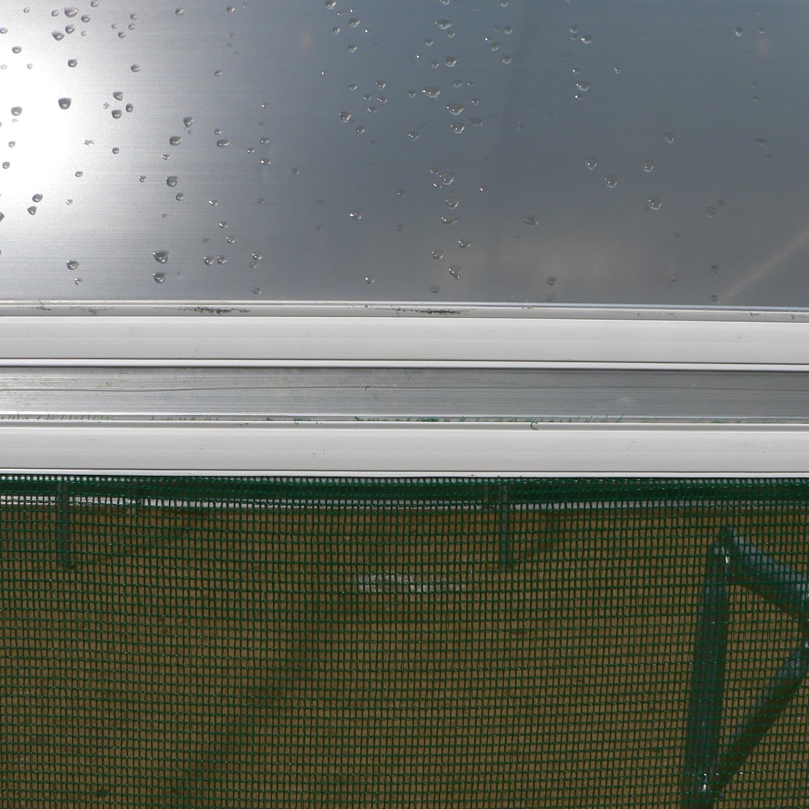 Double Extrusion - Image 4